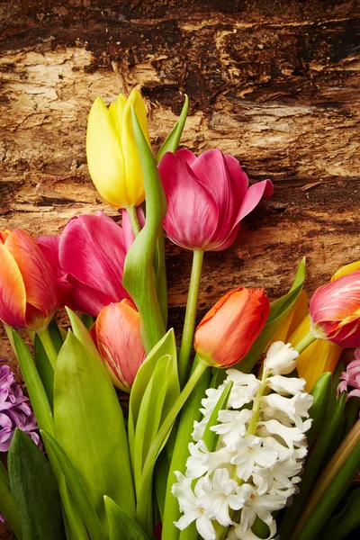 Tulips and hyacinths — Stock Photo, Image