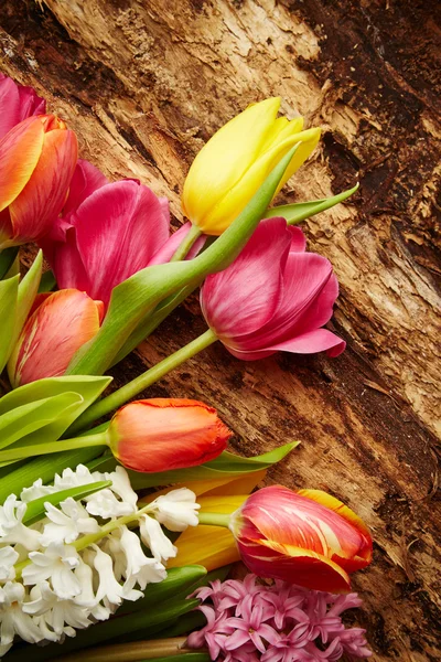 Tulips and hyacinths — Stock Photo, Image