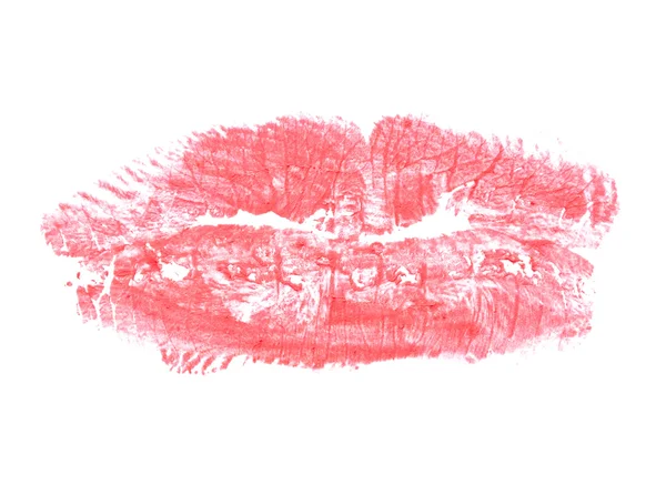 Kiss — Stock Photo, Image