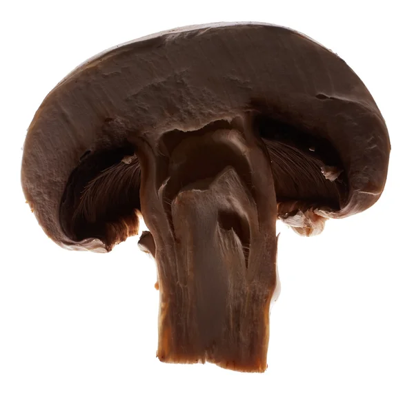 Piece of champignon mushroom — Stock Fotó