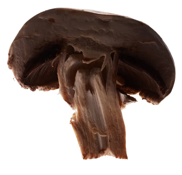 Το ήμισυ των μανιτάρι champignon — Φωτογραφία Αρχείου