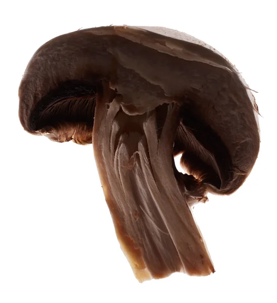 Yarısı champignon mantar — Stok fotoğraf