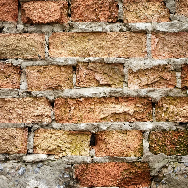 Old brick wall — Stock Photo, Image