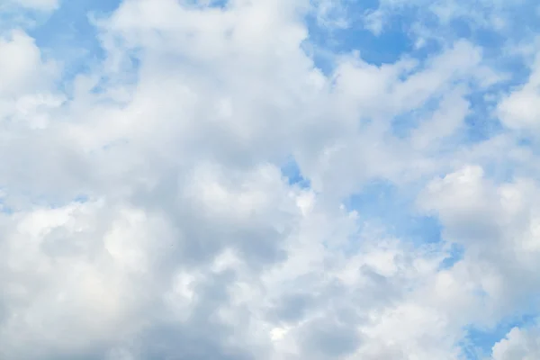 Grands nuages blancs dans le ciel — Photo