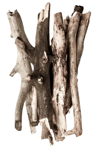 Tyčinky stromů — Stock fotografie