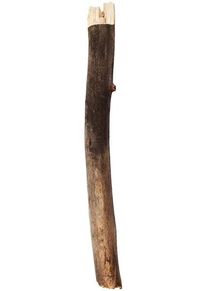 Stick — Stock Photo, Image