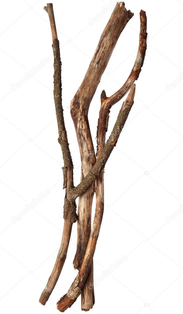 Tree sticks