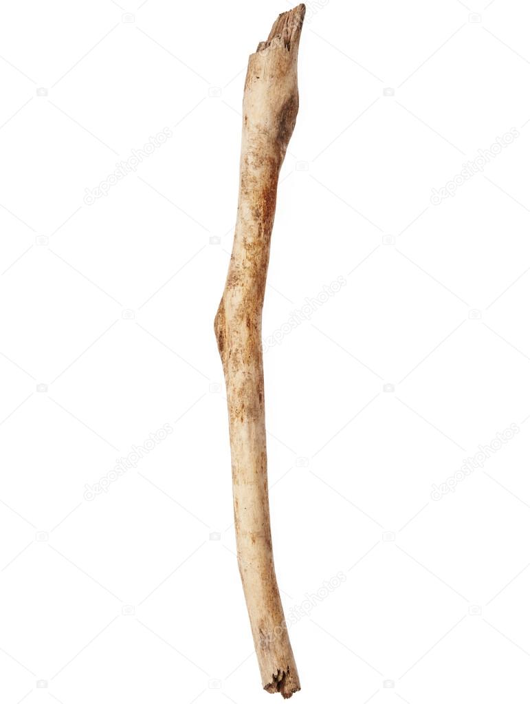 Tree stick 