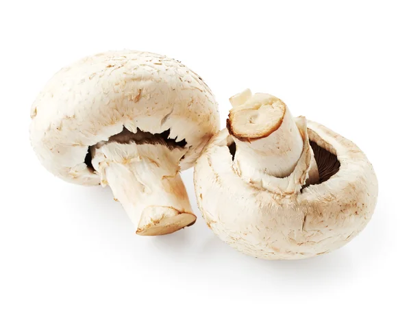 Cogumelos de champignon — Fotografia de Stock