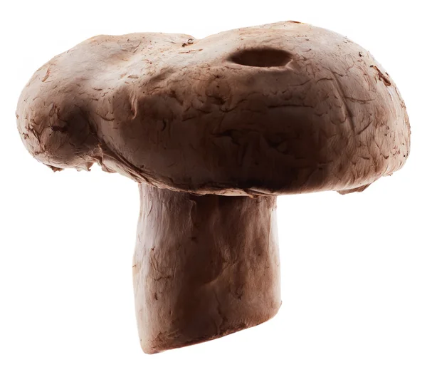 Mushroom champignon — Stock Fotó