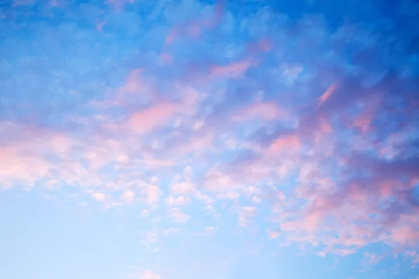 Evening sky — Stock Photo, Image
