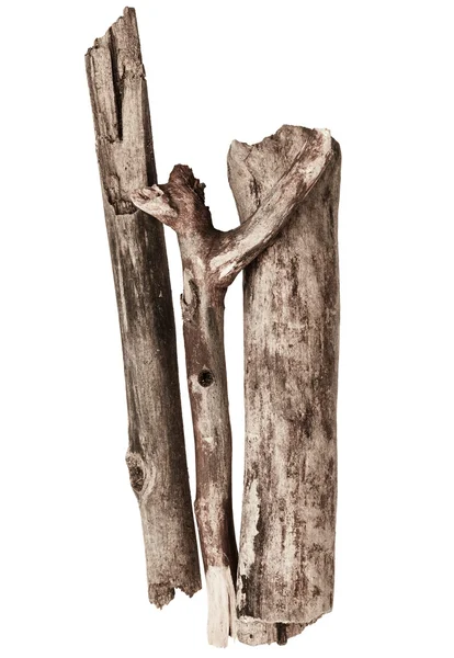 Ramuri de copaci Izolate — Fotografie, imagine de stoc