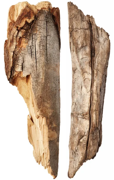 Pezzi di tronco isolati — Foto Stock