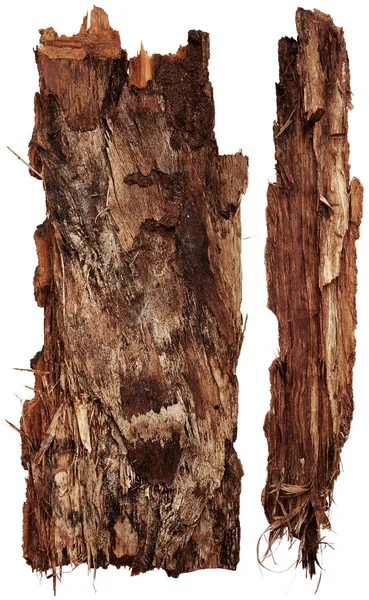 고립 된 나무 껍질 — 스톡 사진