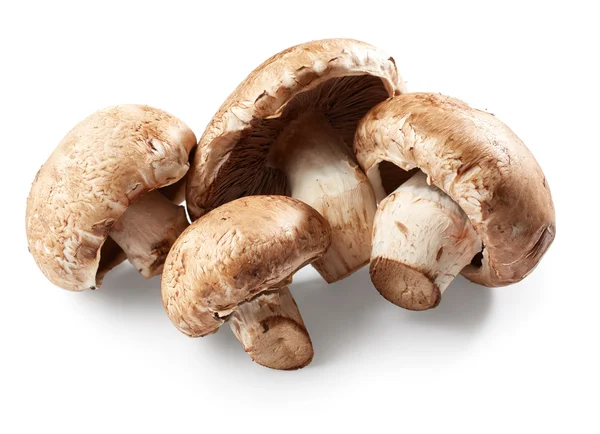 Cogumelos Champinhons isolados — Fotografia de Stock