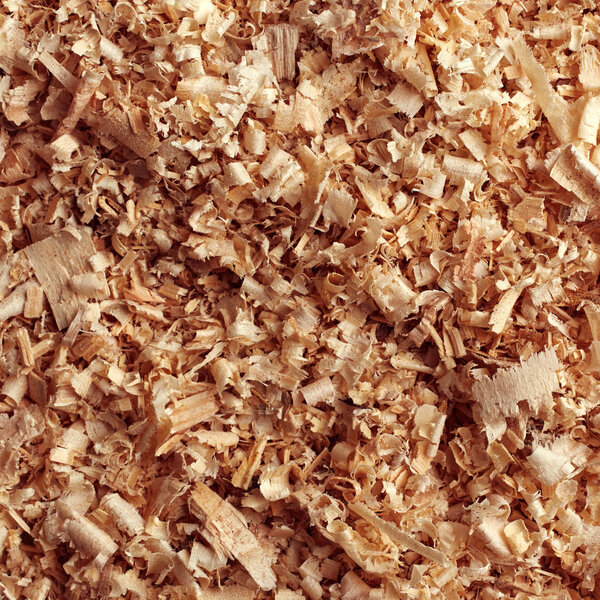 Texture of wood sawdust