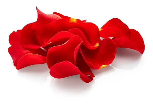 Red Rose petals Royalty Free Stock Photos