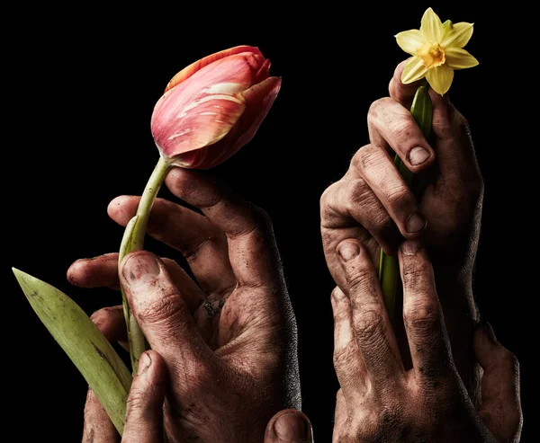 Bloemen in mannelijke handen — Stockfoto
