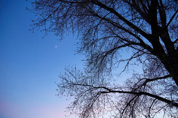 Céu da Noite — Fotografia de Stock