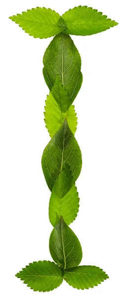 Alphabet aus grünen Blättern. Buchstabe i — Stockfoto