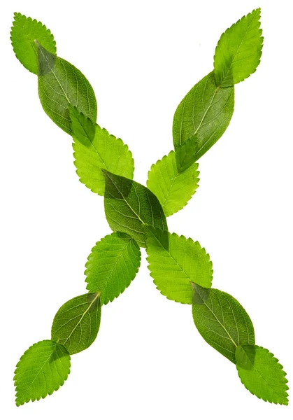 Yeşil yaprakları gelen alfabe. X harfi — Stok fotoğraf