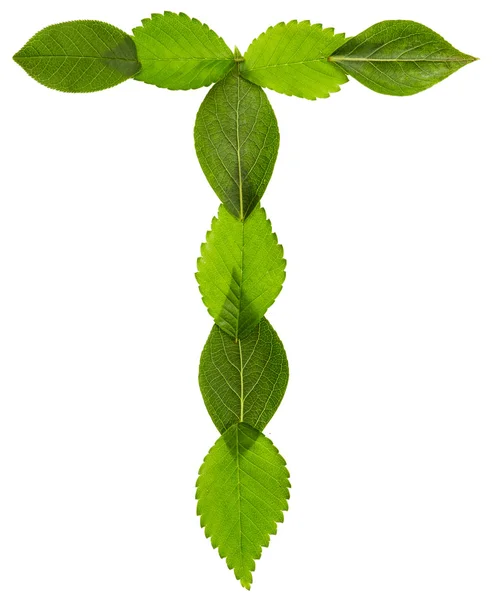 Alphabet aus grünen Blättern. Buchstabe t — Stockfoto