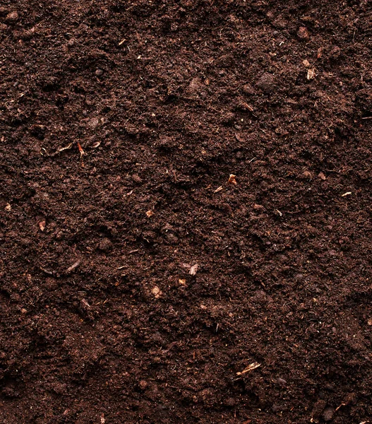 Soil background — Stock Photo, Image