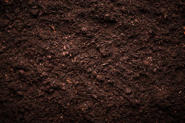 Soil — Stock Photo, Image