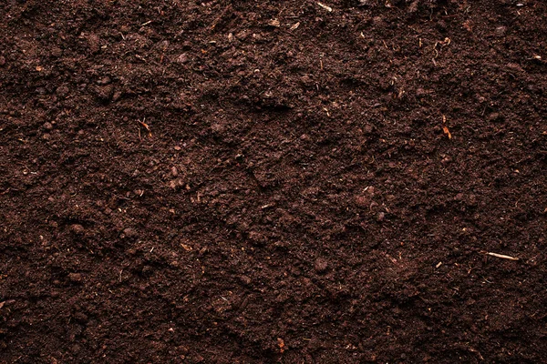 Gleba — Zdjęcie stockowe