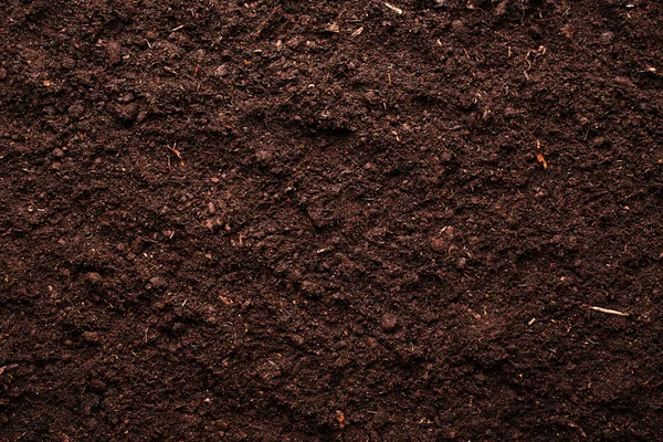 Soil — Stock Photo, Image