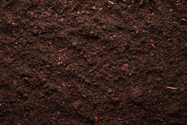 Soil