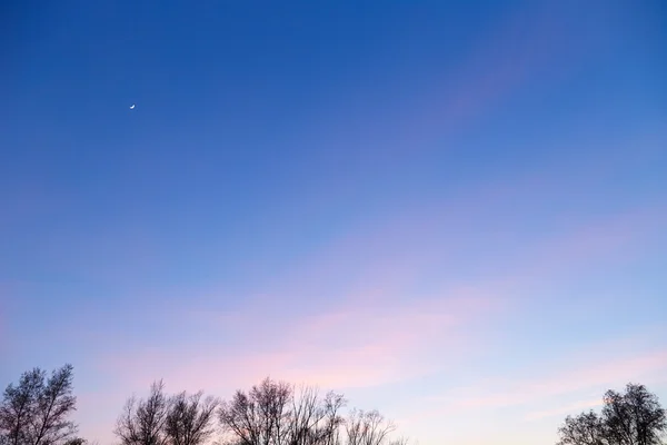 Evening sky. Sunset — Stock Photo, Image