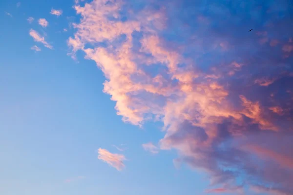 Puesta de sol. Cielo nocturno —  Fotos de Stock