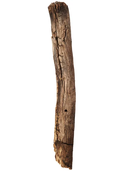 Antigua rama de madera seca — Foto de Stock