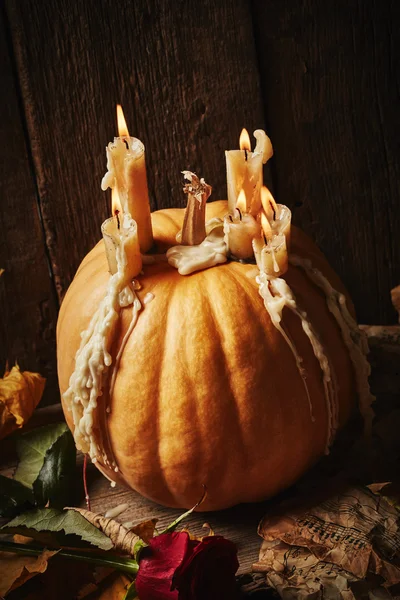 Still life with pumpkin — Stock Photo, Image