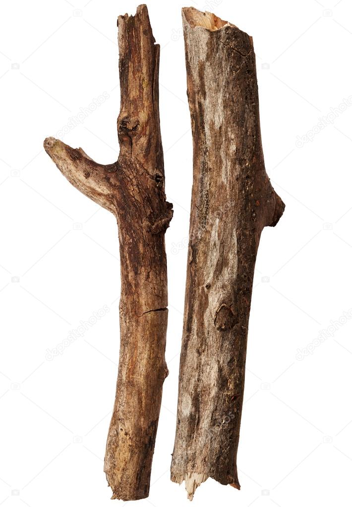 Tree sticks isolated on white background