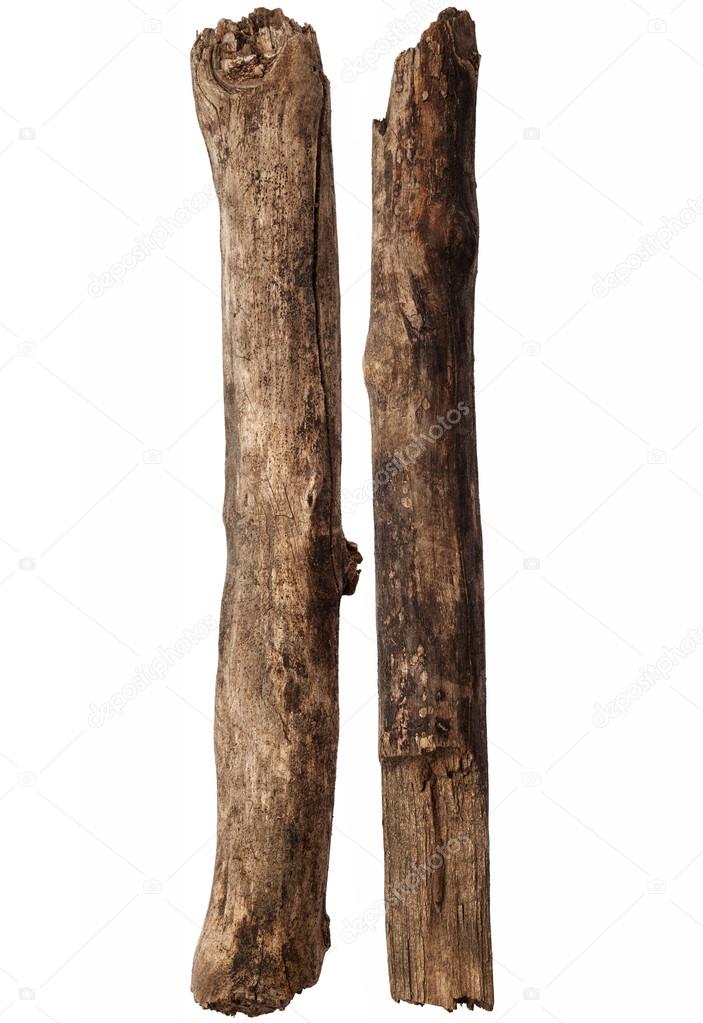 Tree sticks isolated on white background