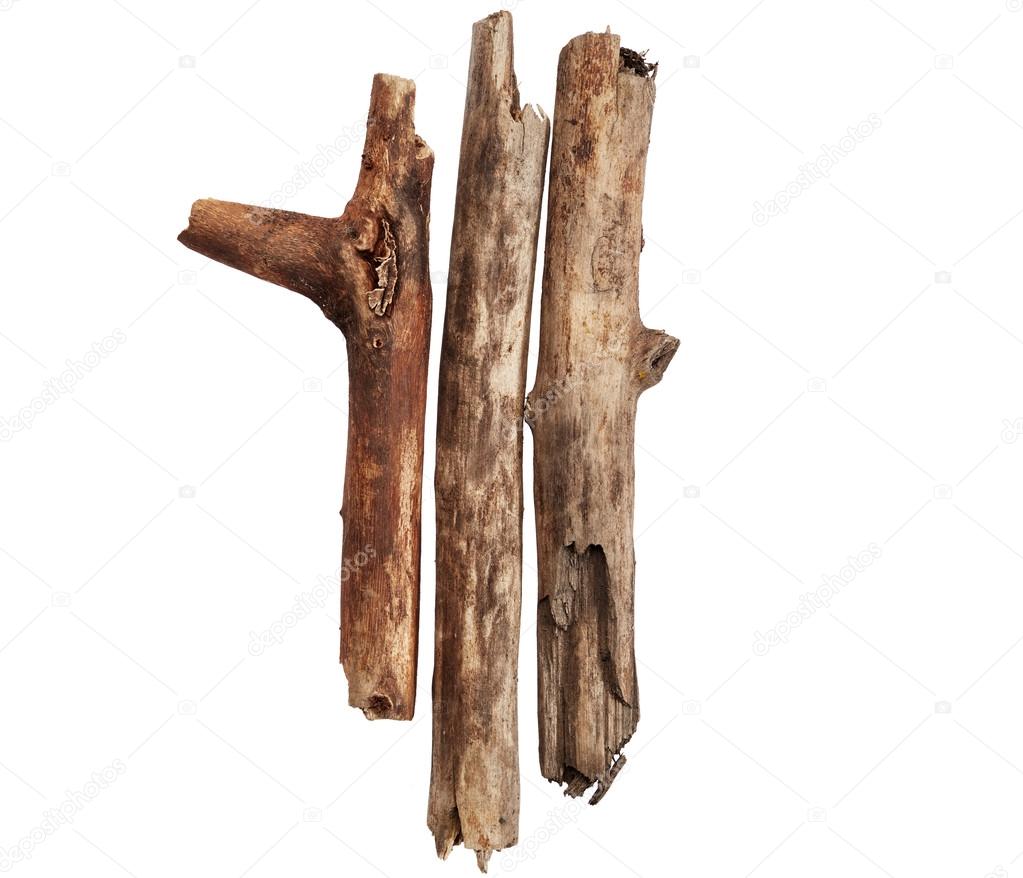 Tree sticks isolated on white background