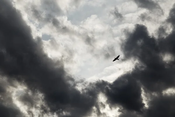 嵐の灰色の空 — ストック写真