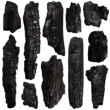 Burnt kabuk ağaç kümesi
