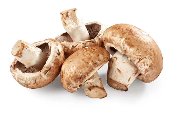Cogumelos Champignon sobre fundo branco — Fotografia de Stock