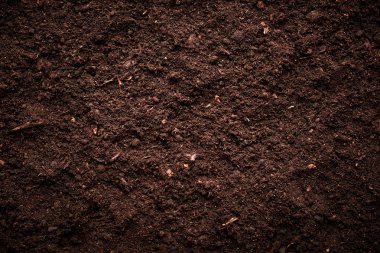 Texture of soil clipart