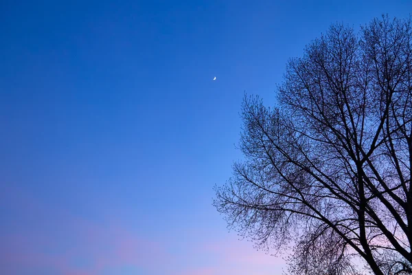 Nature background. Sky — Stock Photo, Image