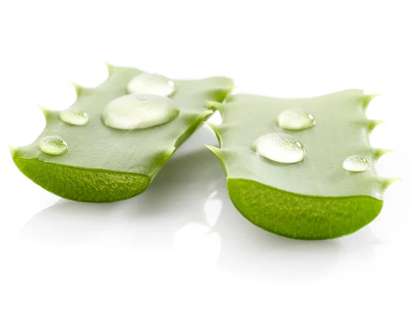 Aloe vera med droppar vatten — Stockfoto