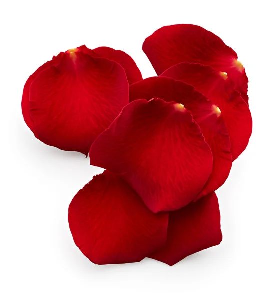 Red Rose Petal Stock Photo by ©kvkirillov 2547846