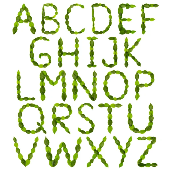 Alphabet of green leaves. Set — Stock Photo, Image