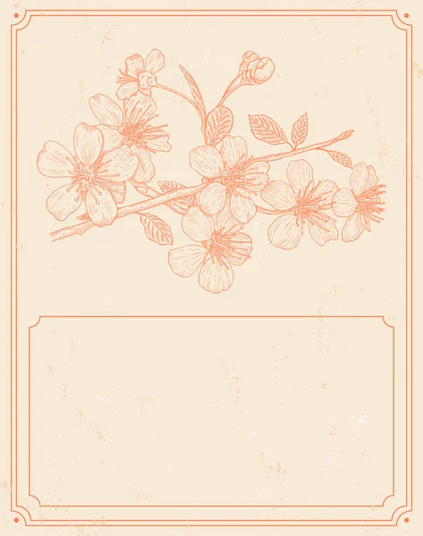 Vintage cherry blossom — Stockvector