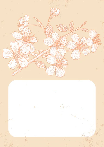 Vintage cherry blossom — Stockvector