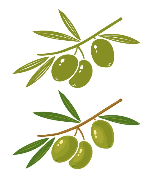 Green and black olive — Stock Vector