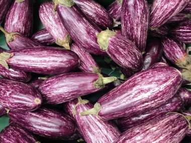 Mor patlıcanlar yakın çekim. Patlıcanların arka planı.